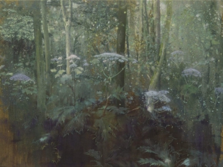 schilderij isabella werkhoven berenklauwen in bos